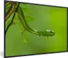 MuchoWow® MuchoWow® Gerahmtes Poster Grüne Schlange aus der Produktbild-Vorschau 1