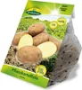 Pflanzkartoffel Karlena Produktbild-Vorschau 3