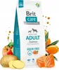 Brit Care Dog Grain-Free Adult Salmon 12 kg Náhled obrázku produktu 15