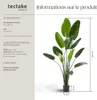 Arbre oiseau du paradis TROPIC - 180 cm Voir les images du produit 6