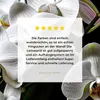 MuchoWow® - Leinwandbilder - Orchidee - Blumen - Weiß - Produktbild-Vorschau 8