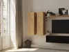 PLATAN ROOM Hängeschrank 105 Wohnzimmer Badezimmerschrank Produktbild-Vorschau 3