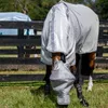 Horseware Rambo Plus Fly Mask Untreated Voir les images du produit 6