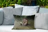 MuchoWow® Outdoor Kissen - Otter mit Futter im Wasser - Produktbild-Vorschau 4