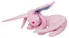 Pokémon Plüschtier Sleeping Espeon Produktbild-Vorschau 8
