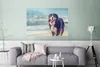 MuchoWow® Poster Ein Berner Sennenhund beim Spaziergang am Produktbild-Vorschau 5