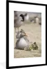 MuchoWow® MuchoWow® Gerahmtes Poster Gans - Familie - Küken Produktbild-Vorschau 1
