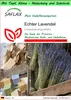 SAFLAX Garden to go - Echter Lavendel - Lavandula Produktbild-Vorschau 1