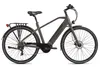 Alu E-Citybike Herren Hollandia Mantova 28'' grau 7 Gänge Produktbild-Vorschau 2