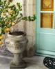 A potted plant with yellow fruits sits next to a light blue door and a stone wall. Produktbild-Vorschau