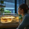 Terrario ReptoRay 15W - lampa LED do terrarium 60cm Podgląd zdjęcia produktu 4