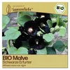 Samenliebe  Malve Samen | Schwarze Erfurter - schwarz - Produktbild-Vorschau 1