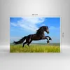 Bilder auf glas - Schwarzes Pferd Pferd Galopp - 100x70cm - Produktbild-Vorschau 3