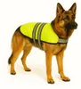 Flamingo Hundemantel Winter – Eisbär Fluo Gelb – XXXXL 70cm Produktbild-Vorschau 1