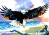 Norimpex Diamant-Gemä lde Eagle 30x40cm Produktbild-Vorschau 1
