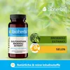 Bioherba Sulforaphan Brokkoli Extrakt 400 mcg 100 Kapseln Produktbild-Vorschau 4