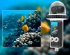 Custodia Subacquea Impermeabile Per Dji Osmo Pocket 3 Anteprima dell’immagine prodotto 5