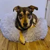 Letto morbido per cane, gatto e coniglio - grigio Anteprima dell’immagine prodotto 36