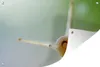 MuchoWow® Produktbild-Vorschau 1