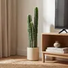 HOMCOM Kunstplant, cactus, groot (95 cm) met pot, geschikt Productafbeelding-voorbeeld 2