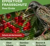 TTL GARDEN Teichnetz 6x6m schwarz 30g/m² Vogelschutznetz Produktbild-Vorschau 11