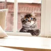 GKA Fenstergucker Fensterbild süße Katze Fenster Aufkleber Produktbild-Vorschau 3