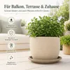 Pflanztopfuntersetzer Mira Taupe Ø 34cm - Frostsicher & Produktbild-Vorschau 2