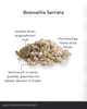 Weihrauch zum Räuchern 50 gr aus Indien Boswellia Serrata – Produktbild-Vorschau 5