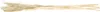 Pampasgras Deko Bouquets Trockenblumen 65-75cm 6 Stk, 6 Produktbild-Vorschau 3