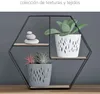 Květináč SANDY P s miskou 28,2 cm - barva: mocca Anteprima dell’immagine prodotto 9