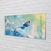 Glasbilder 100x50 Wandkunst bunter Schmetterling Produktbild-Vorschau 2