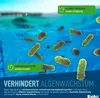 Belko® 5L Algizid Algenverhütung Anti - flüssig Algenmittel Produktbild-Vorschau 3