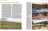 Maurische Landschildkröten Voir les images du produit 3