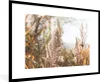 MuchoWow® Gerahmtes Poster Schilf - Sonne - Pflanze 90x60 Produktbild-Vorschau 1
