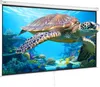 Projektion Beamer Leinwand 254 cm HD 4K Outdoor Indoor Produktbild-Vorschau 9