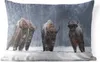 MuchoWow® Outdoor Kissen - Tiere - Schnee - Amerika - 60x40 Produktbild-Vorschau 1