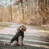 Hunter Hunde-Regenmantel Milford schwarz, Rückenlänge: 40 Produktbild-Vorschau 4