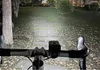 LED-Fahrradlampe, starke Fahrradbeleuchtung für Fahrräder, Produktbild-Vorschau 13