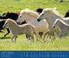 Island Kalender 2027 mit Isländer Pferden, 46 x 39 cm, 24 Produktbild-Vorschau 5