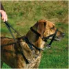 Trixie Top Trainer Ausbildungsgeschirr - max. 22 cm Produktbild-Vorschau 4