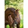 Briglia Snaffle Kerbl Classic in pelle marrone Warmblood Anteprima dell’immagine prodotto 3