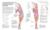 Stretching - Die Anatomie verstehen Podgląd zdjęcia produktu 7
