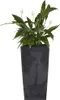 Prosperplast 7.2l Urbi Square Beton Effect Collection Produktbild-Vorschau 14