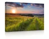 lightbox multicolor | Wandbild beleuchtet | Wunderschöne Produktbild-Vorschau 1