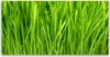 Tulup Leinwand-Bilder 140x70 Wandbild Canvas Kunstdruck Produktbild-Vorschau 1