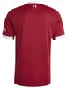 Adidas JV6423_210, Rot, Trikot, Strawberry red, Fußball, L, Produktbild-Vorschau 2