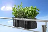 Jardinière Dehner « Mona » pour 3 plantes, avec système Voir les images du produit 5