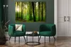 Plátno nástěnný obraz do ložnice stromy zelený les 80x120cm Náhled obrázku produktu 9
