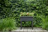 A dark gray planter box filled with herbs and small red peppers sits on a wooden deck in front of a dense green ivy wall. Náhled obrázku produktu