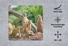 MuchoWow® Mauspad Mousepad Erdmännchen - Familie - Tiere Produktbild-Vorschau 2